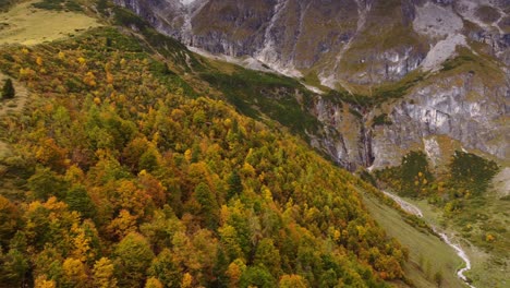 Bird's-eye-view-of-colorful-Autumn-fall,-yellow,-orange,-red-trees,-mountain