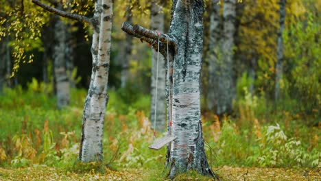 a rustic swing hangs from the sturdy branch of a tree, surrounded by the vibrant colors of an autumn landscape