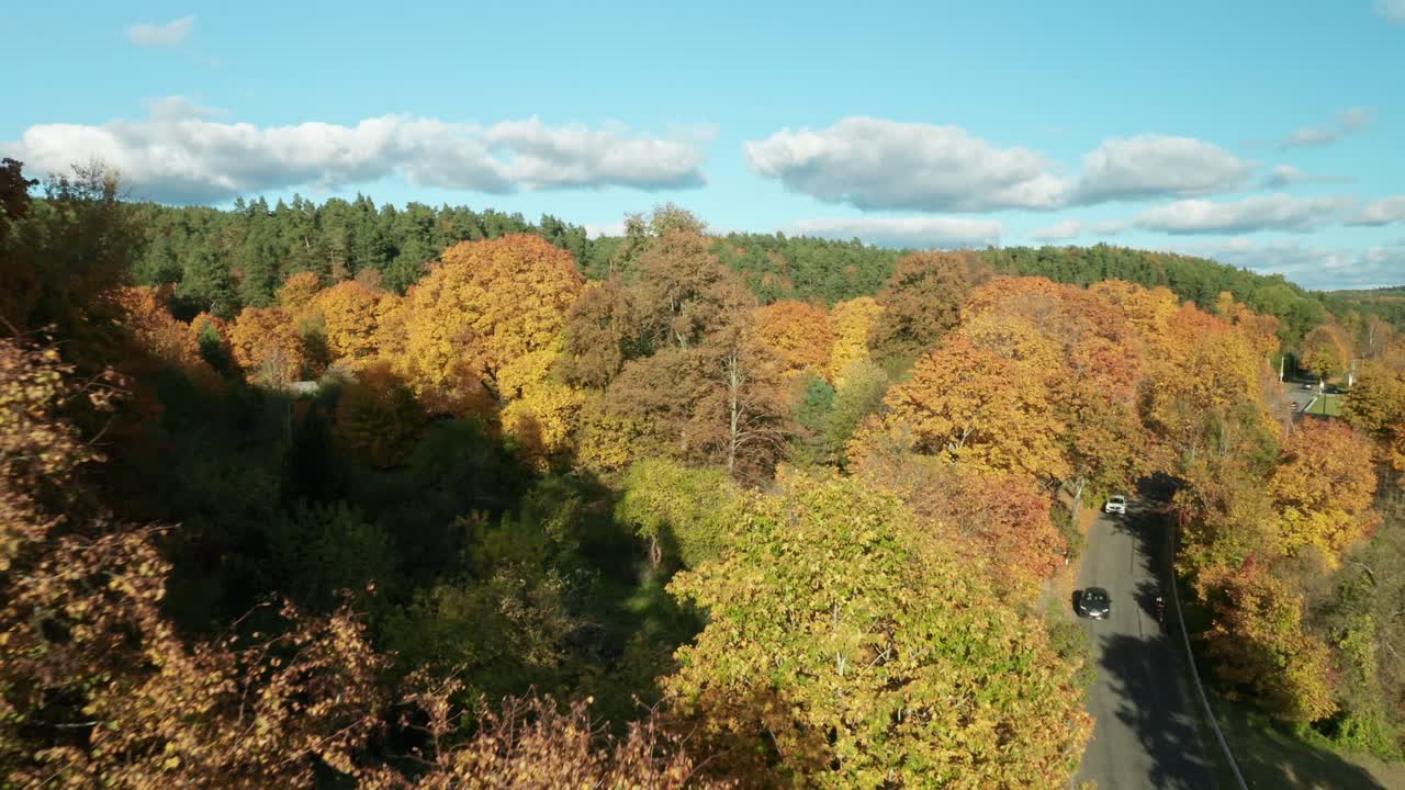Aerial View of Colorful Autumn Forest