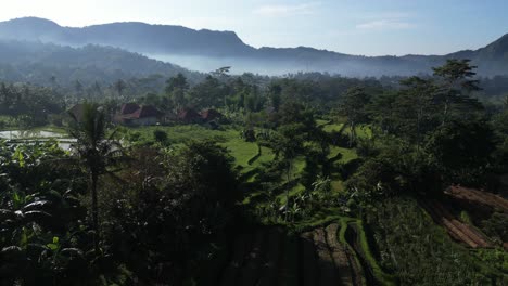 a scenic morning in the east of bali with jungle surroundings and misty mountain scenes