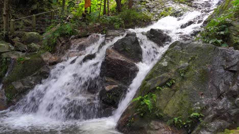 medium view of cascading waterfall falling down mossy rocks