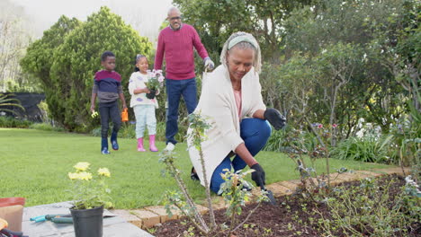 Felices-Abuelos-Afroamericanos,-Nieto-Y-Nieta-Haciendo-Jardinería-Juntos,-Cámara-Lenta