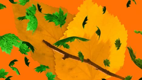 Animation-of-multiple-autumn-leaves-falling-on-orange-background