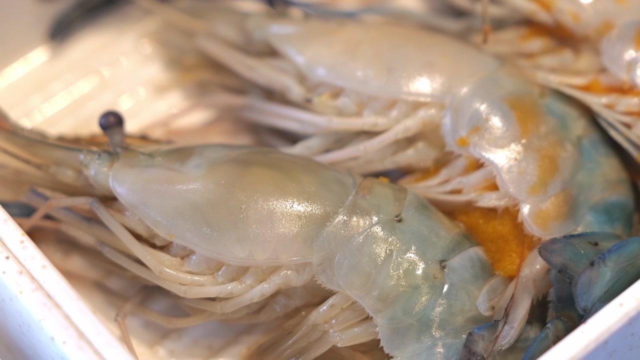 Close-up of fresh raw river prawns arranged neatly on a serving tray, showcasing their natural texture, translucent shells, and premium seafood presentation.