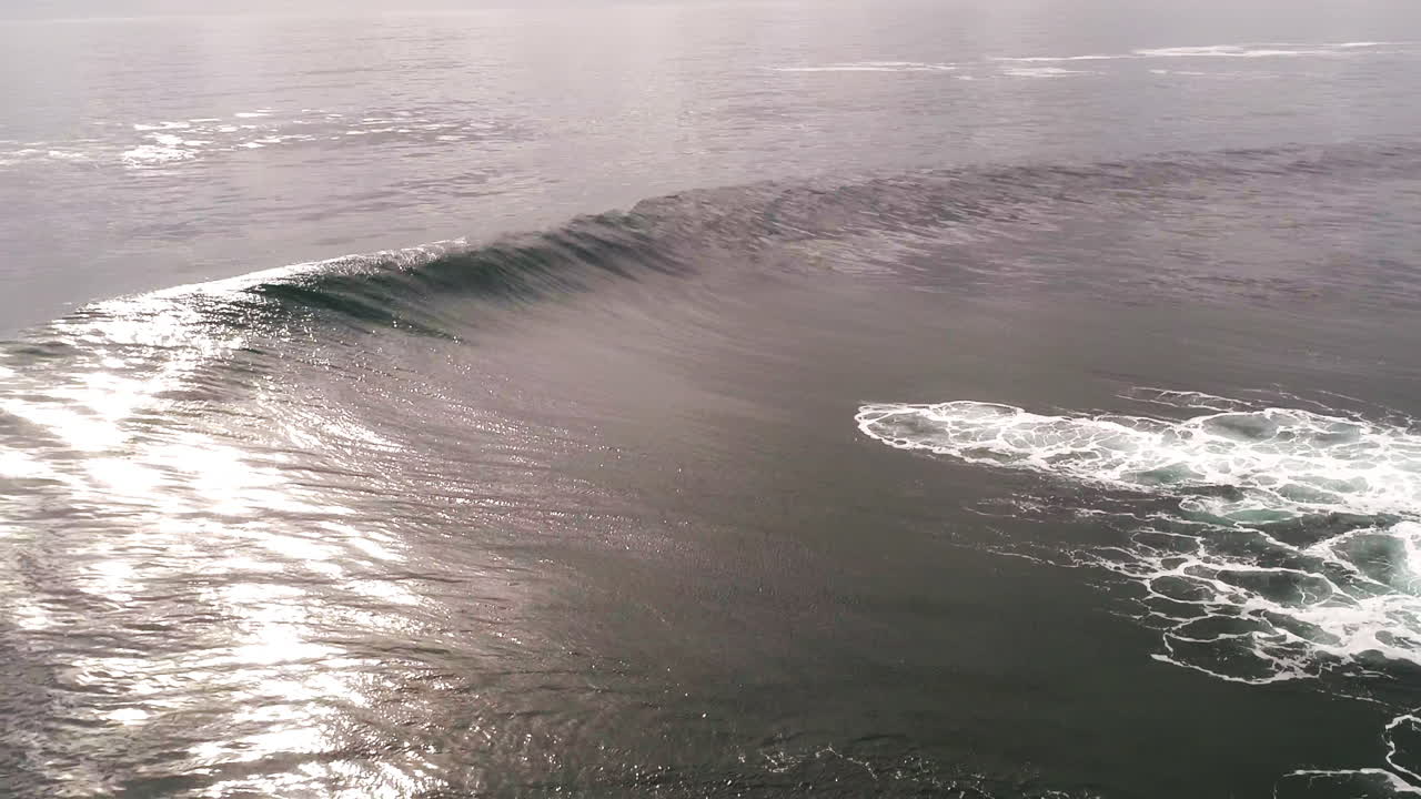 Dramatic curl of ocean wave in backlight, crashing with intensity and swirling mist