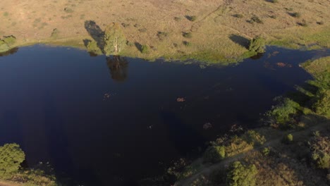 Aerial-Fly-Over-Mirror-Like-Pond-in-Summer-with-green-field