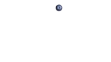 round frame of blueberries on white background