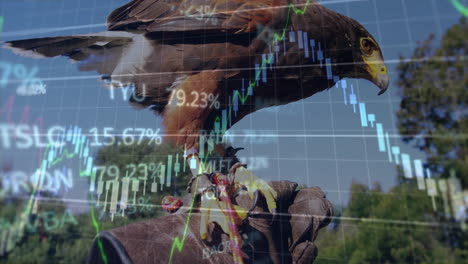 falcon perching on leather falconry glove, displaying financial charts in animated 3d render