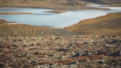 el musgo de tudnra en una colina por encima de un río sinuoso