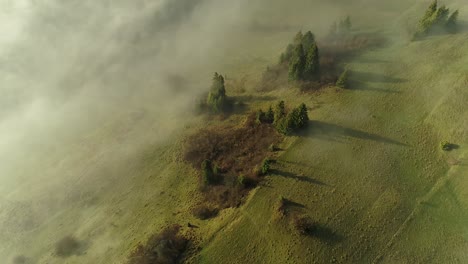 panoramic top down view of land shrouded in fog