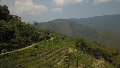 Plantación-De-Café-En-La-Selva-Montañosa-Boliviana