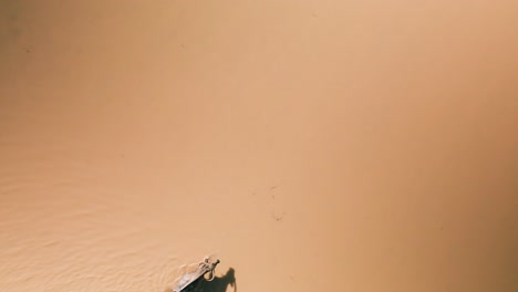 Clean-Birds-eye-Early-morning-Water-Buffalo-with-shadows-meander-freely-along-the-wild-Tonle-Sap-lakeside,-South-East-Asia,-enjoying-their-relaxing-lifestyle