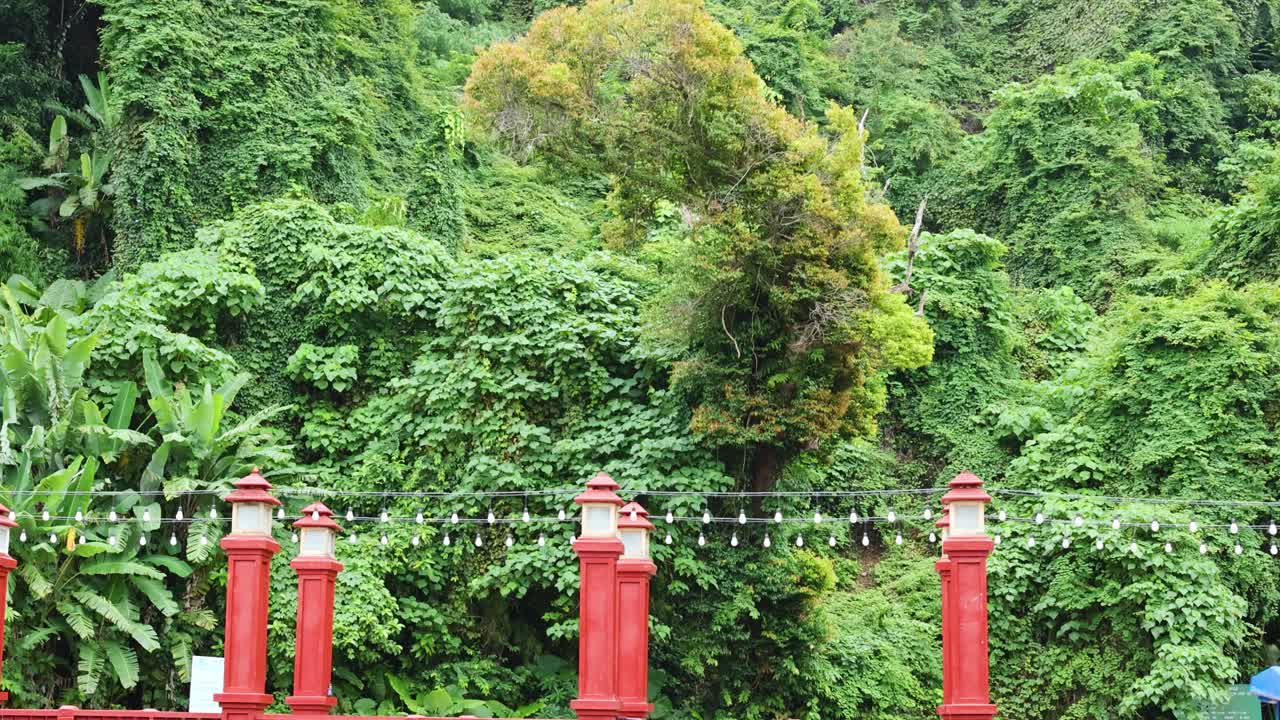 오토바이 와 자동차 가 울창 한 숲 을 지나간다