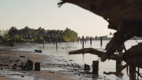 riverbank shoreline beach with wooden posts standing out of the calm water trees in the background view abstract thirds blurry stump foreground peaceful beautiful ripples waves clear blue sky day