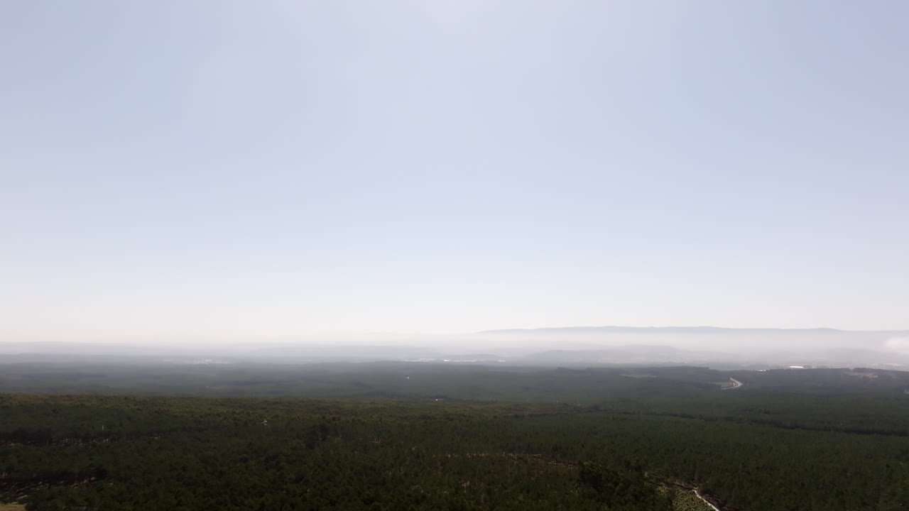 vista aérea de un paisaje forestal con niebla