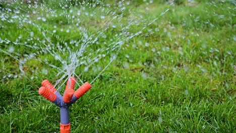 vista estática, rotación del rociador automático de agua de jardín de plástico del pulverizador con cinco boquillas