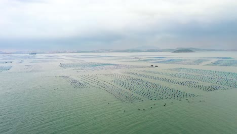 expansive view of abalone farming off the coast of gaobei island in putian city, fujian province, china. rows of floating structures create a pattern across the calm sea, sustainable aquaculture.