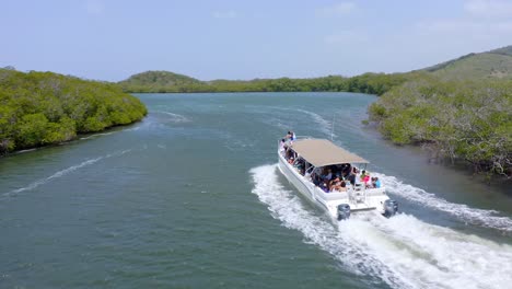 los turistas viajan en ferry navegando en el río entre bosques de manglares en el parque nacional de monte cristi en república dominicana