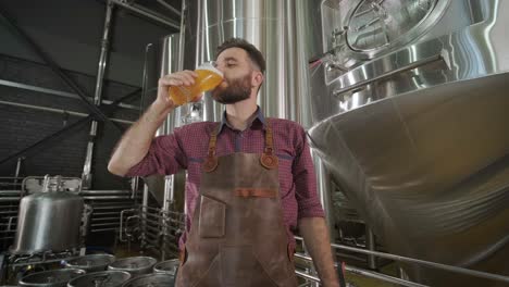 young brewer wearing a leather apron is tasting beer at a modern brewery