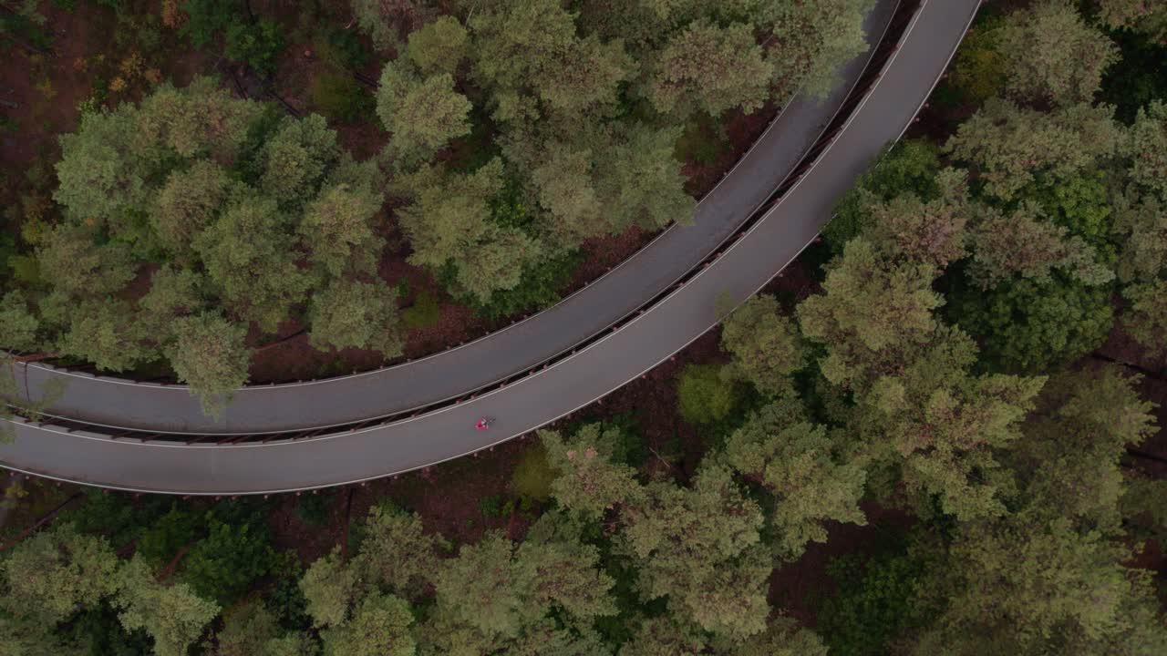 vista aérea de fietsen door de bomen, un camino para caminar y andar en bicicleta en los árboles, hechtel-eksel, limburgo, bélgica