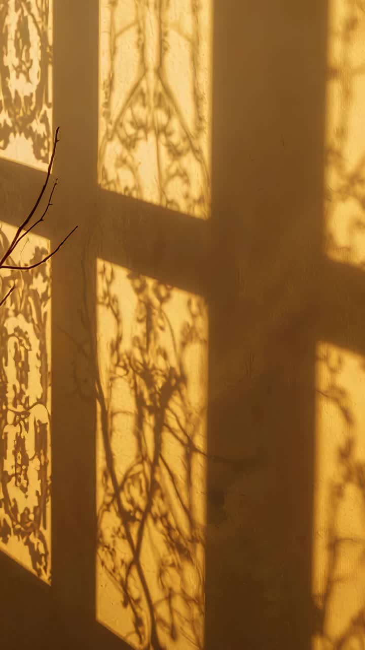 Vertical video: Shifting sunlight revealing branches, casting grille shadows on painted home wall