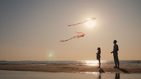 a young man and a child are played with a kite on the beach