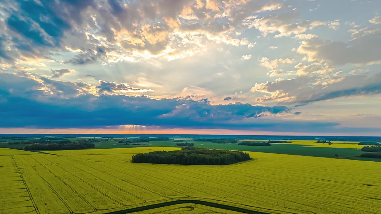 A stunning aerial timelapse captures dramatic clouds moving across the sky at sunset, illuminating the vibrant yellow blooming rapeseed (canola) fields of the Latvian countryside below.