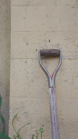 herramientas y plantas de jardinería
