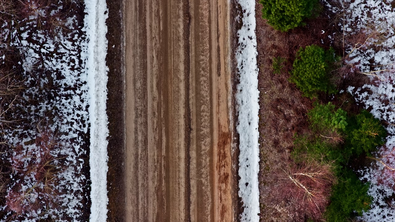 Unpaved road cutting through mixed winter and evergreen forest environment, aerial view top down