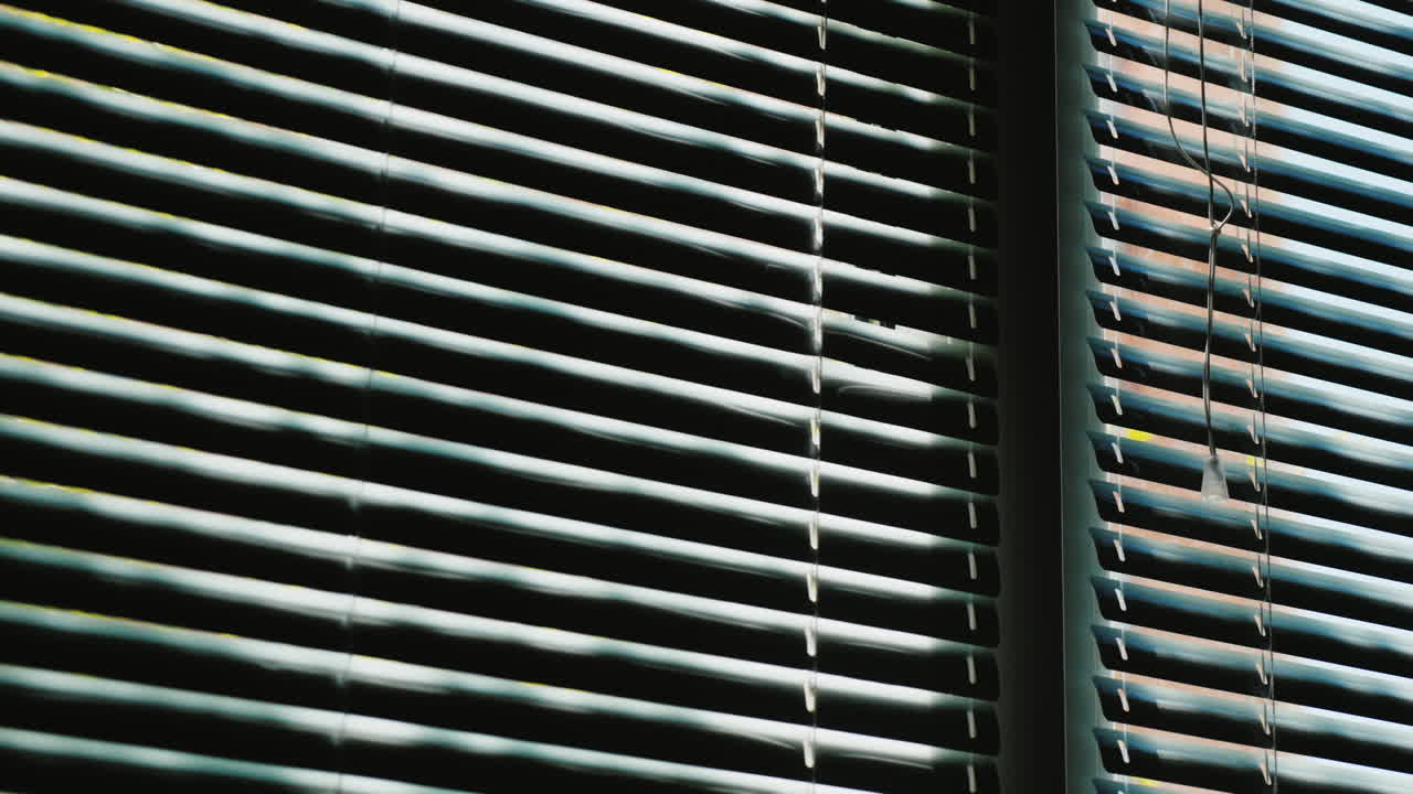 The Spring Sun Shines Through The Half-Closed Jalousie 1