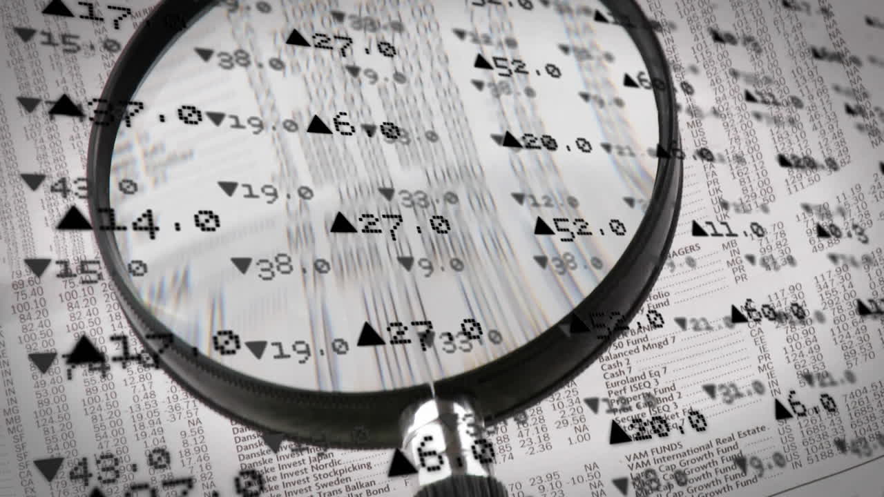 lente de aumento que revisa los datos