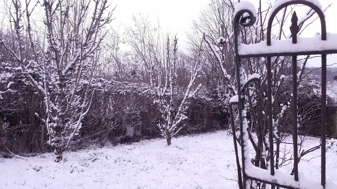 내 지역 마을의 눈 오는 날