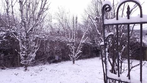 Schneetag-In-Meinem-Heimatdorf