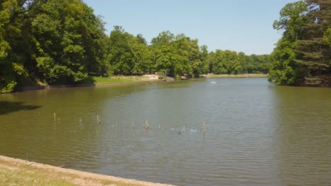 view of the pond in bois de la cambre park in brussels, belgium - panning