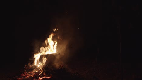 fogata en la noche