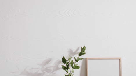 wooden frame with copy space on white background with plant against white wall