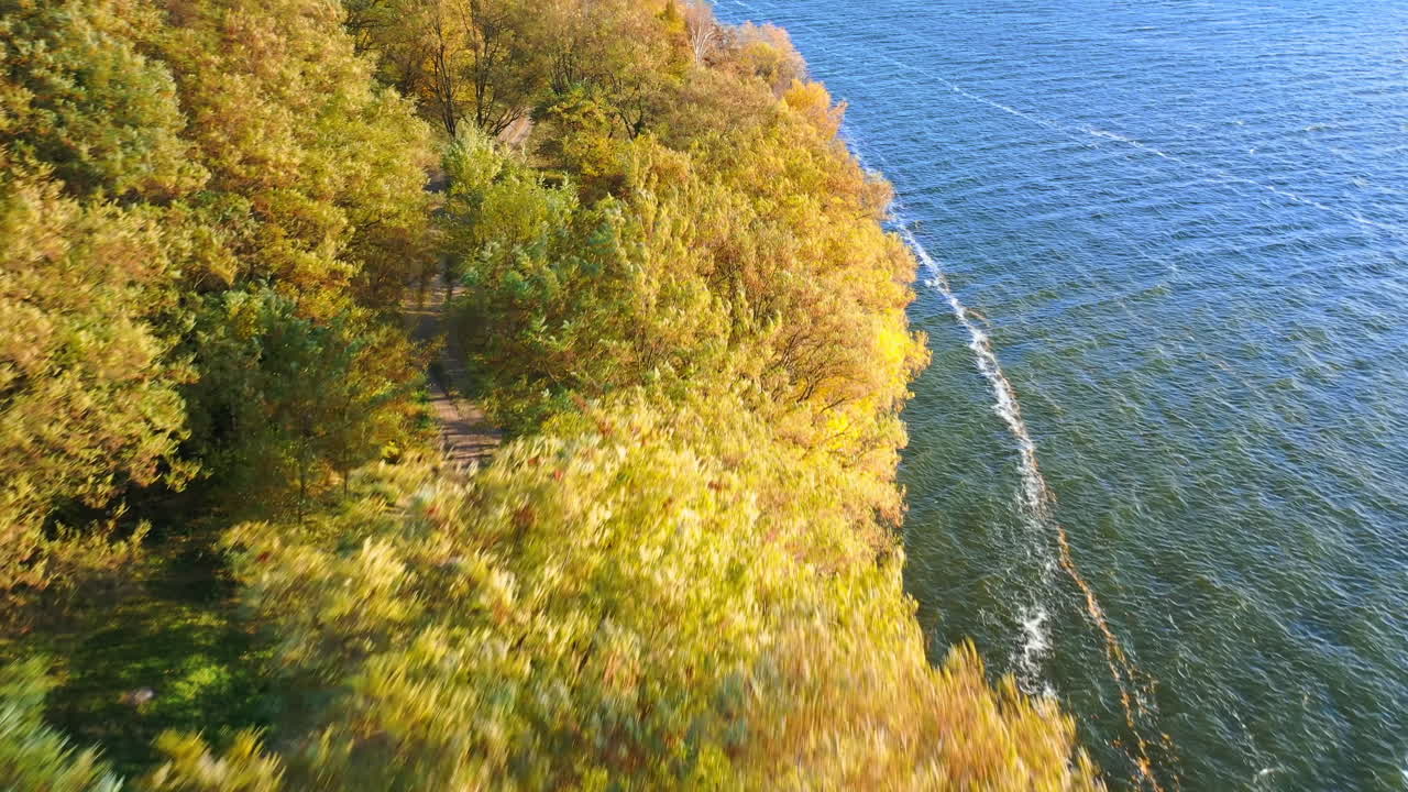 Colorful beautiful yellow foliage scenery. Natural yellow outdoor autumn seasons.