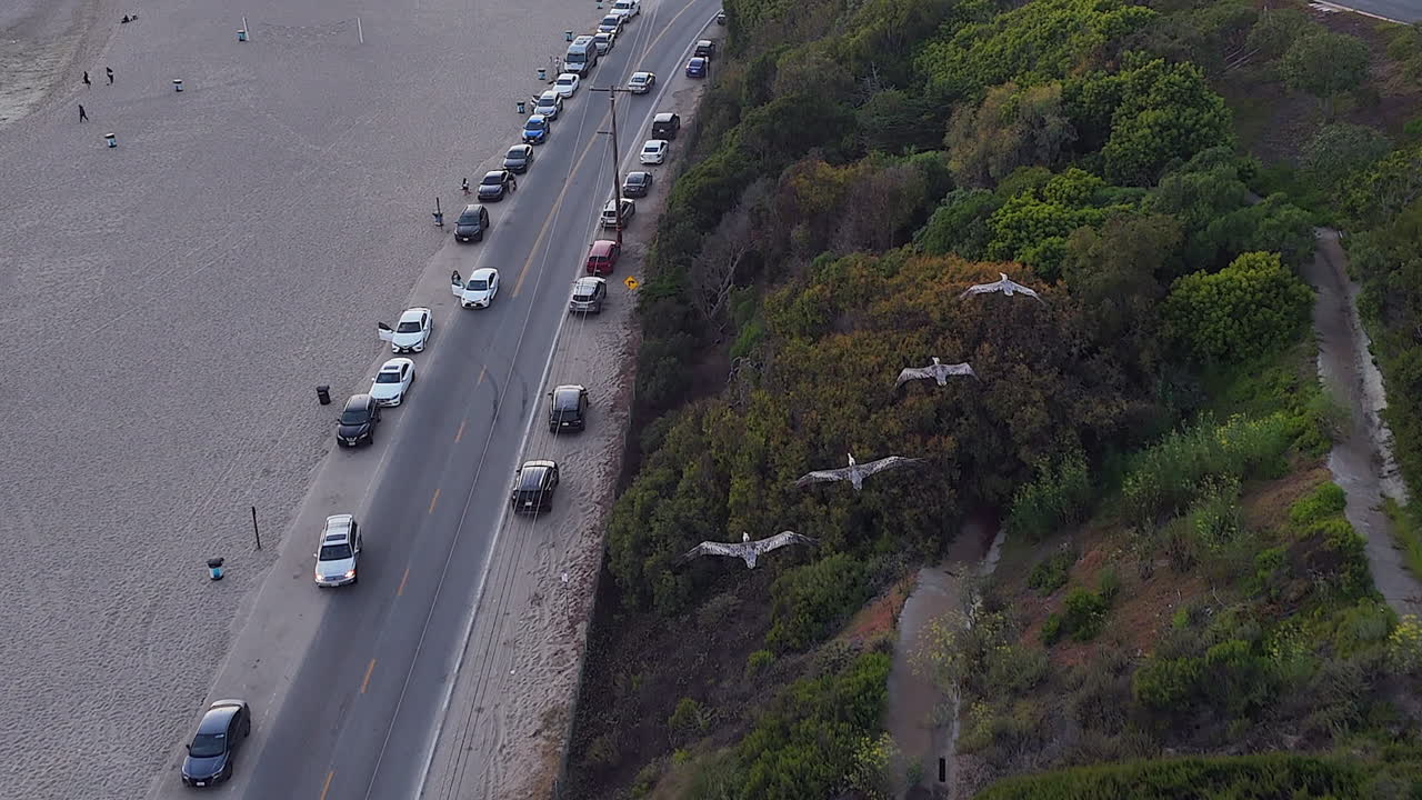 низкая антенна следует за четырьмя коричневыми пеликанами, летящими над пляжем малибу, штат калифорния.