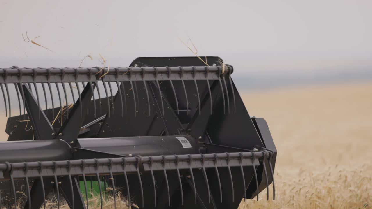 Wheat Harvest: Green Combine Harvester in Action