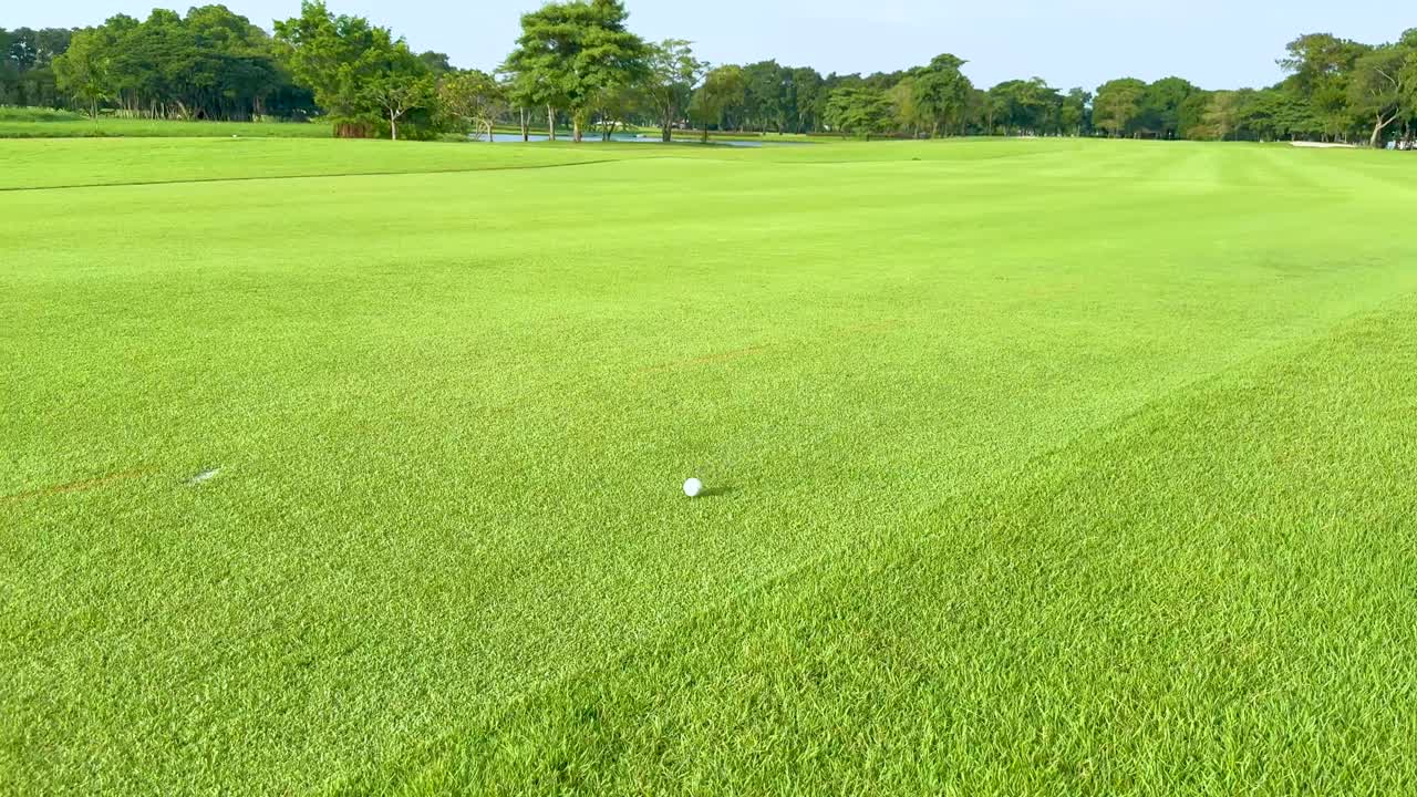 울창 한 페어웨이 를 가로질러 움직이는 골프 공
