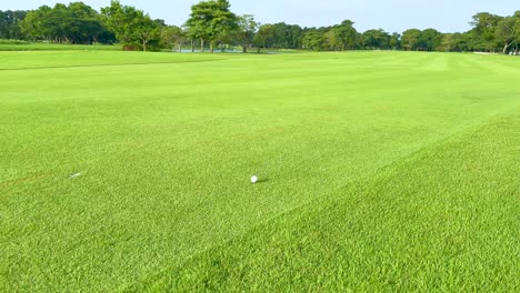 una pelota de golf moviéndose a través de un pasillo exuberante