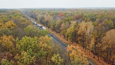 flying over the autumn forest and new asphalt road. cars driving on a road through colorful forest on sunny fall day.camera moves right.