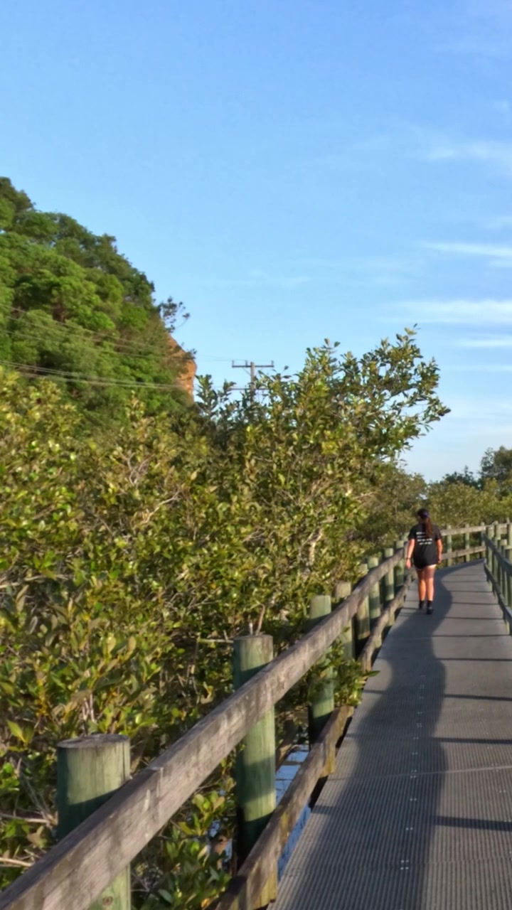 Persone che camminano su un sentiero nella foresta di mangrovie