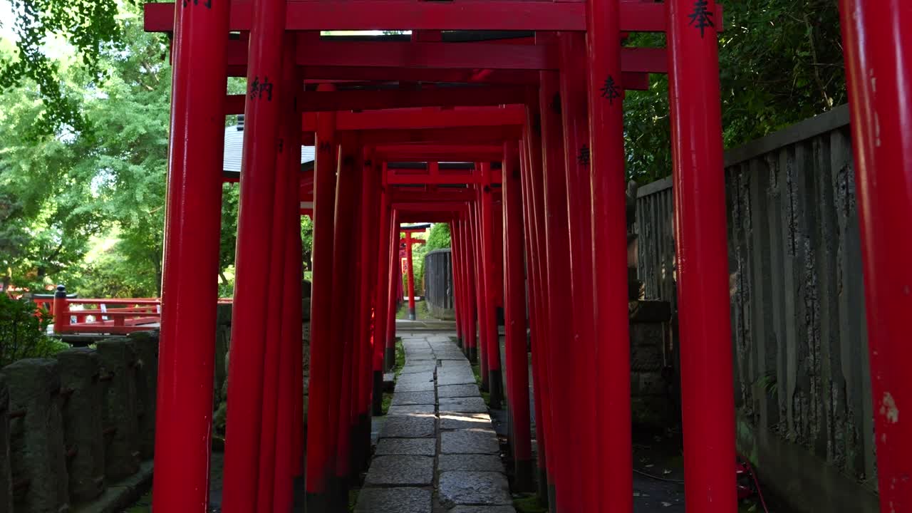 Avvicinamento al rallentatore verso i bellissimi cancelli torii rossi in un santuario shintoista giapponese.