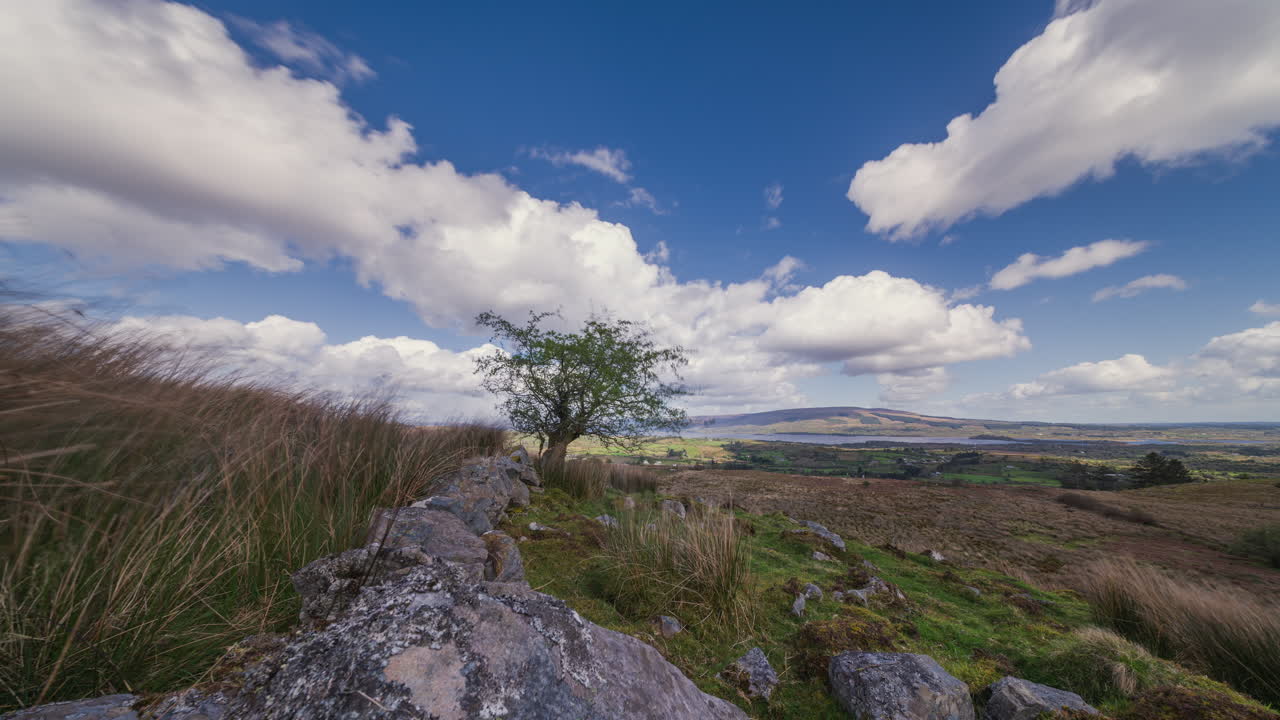 Landscape with tree, clouds, and stone wall