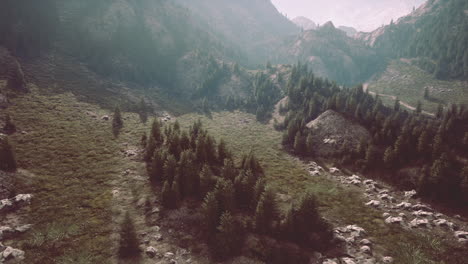 Sinuoso-Camino-De-Montaña-Sobre-Prados-Alpinos-Al-Borde-Del-Bosque