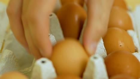 hand taking out eggs in the package. close up of gray egg carton with people  taking egg out of carton.