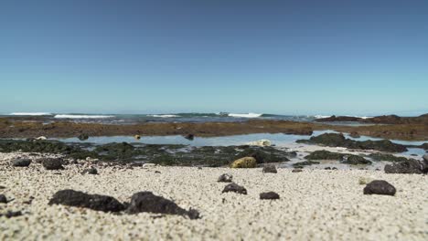 low angle view of waves hitting lava rock formations on a pristine hawaiian beach