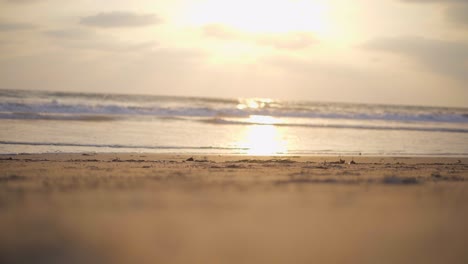 un hombre despierta en la playa de chapora en goa, india.