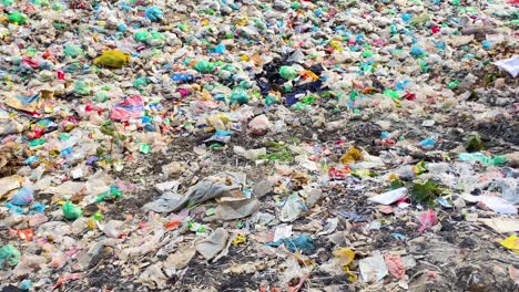 chicken scavenging for food amidst garbage in dhaka, bangladesh - handheld shot